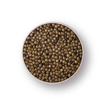 Beluga Style Chinese Caviar 30g