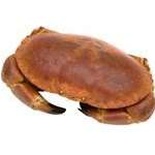 Whole Cooked Crab 500g