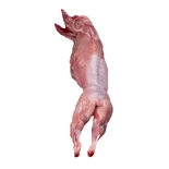 Whole Rabbit 1.4kg